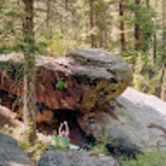 Meet your Posher, Trevor - Picture 1 of 1